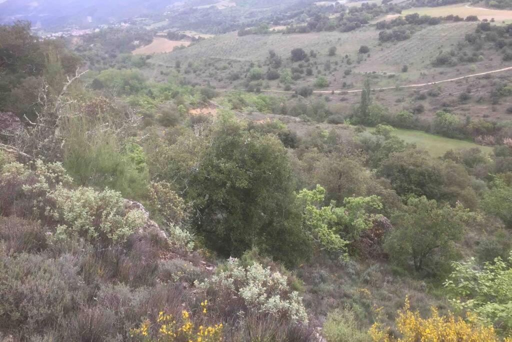 Peaceful 3 Bedroom 8 Person Ground Floor Apartment With Large Private Heated Pool La Digne-d'Amont Exteriör bild